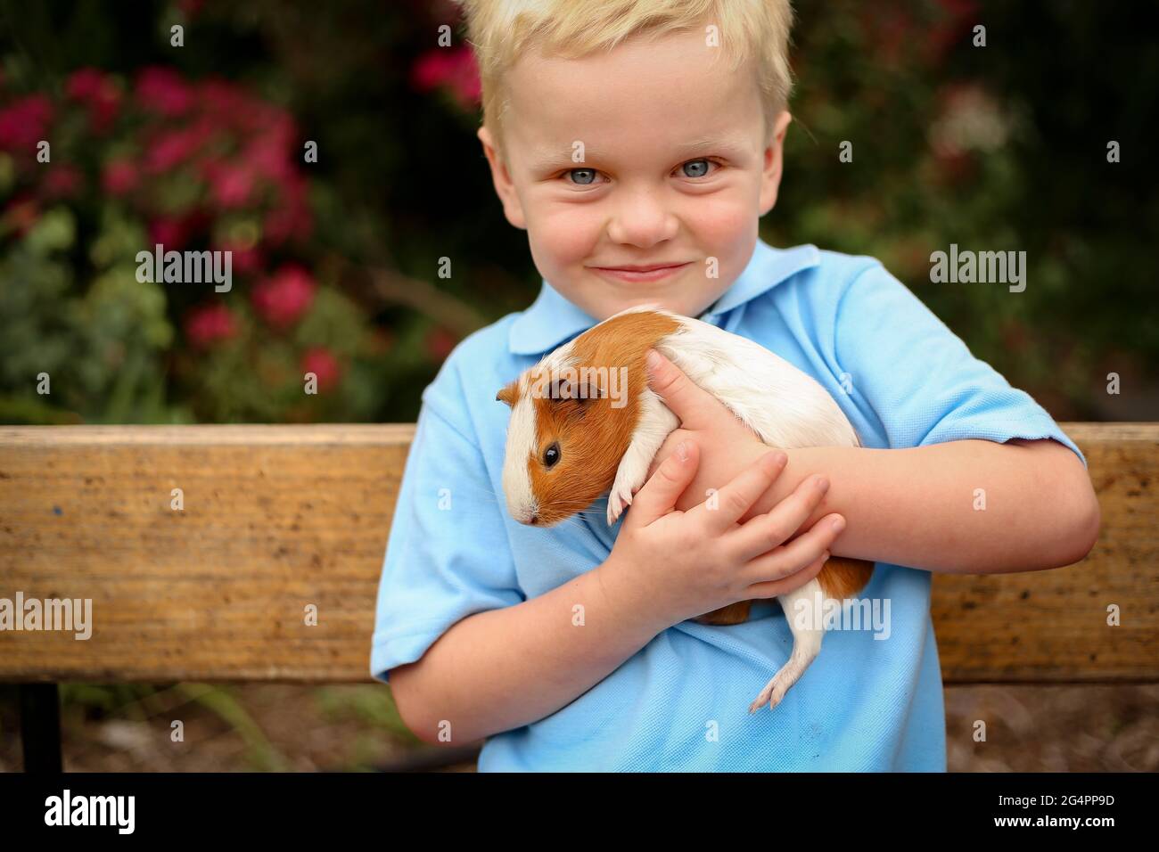 Selective focus of an adorable blue eyed young Australian little boy