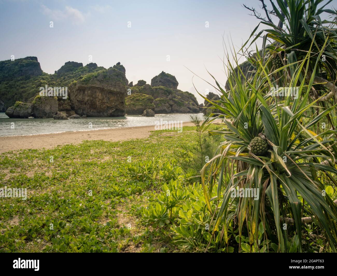 Shirumichu Beach Hamahiga Island Okinawa Japan シルミチューの浜 Stock Photo Alamy