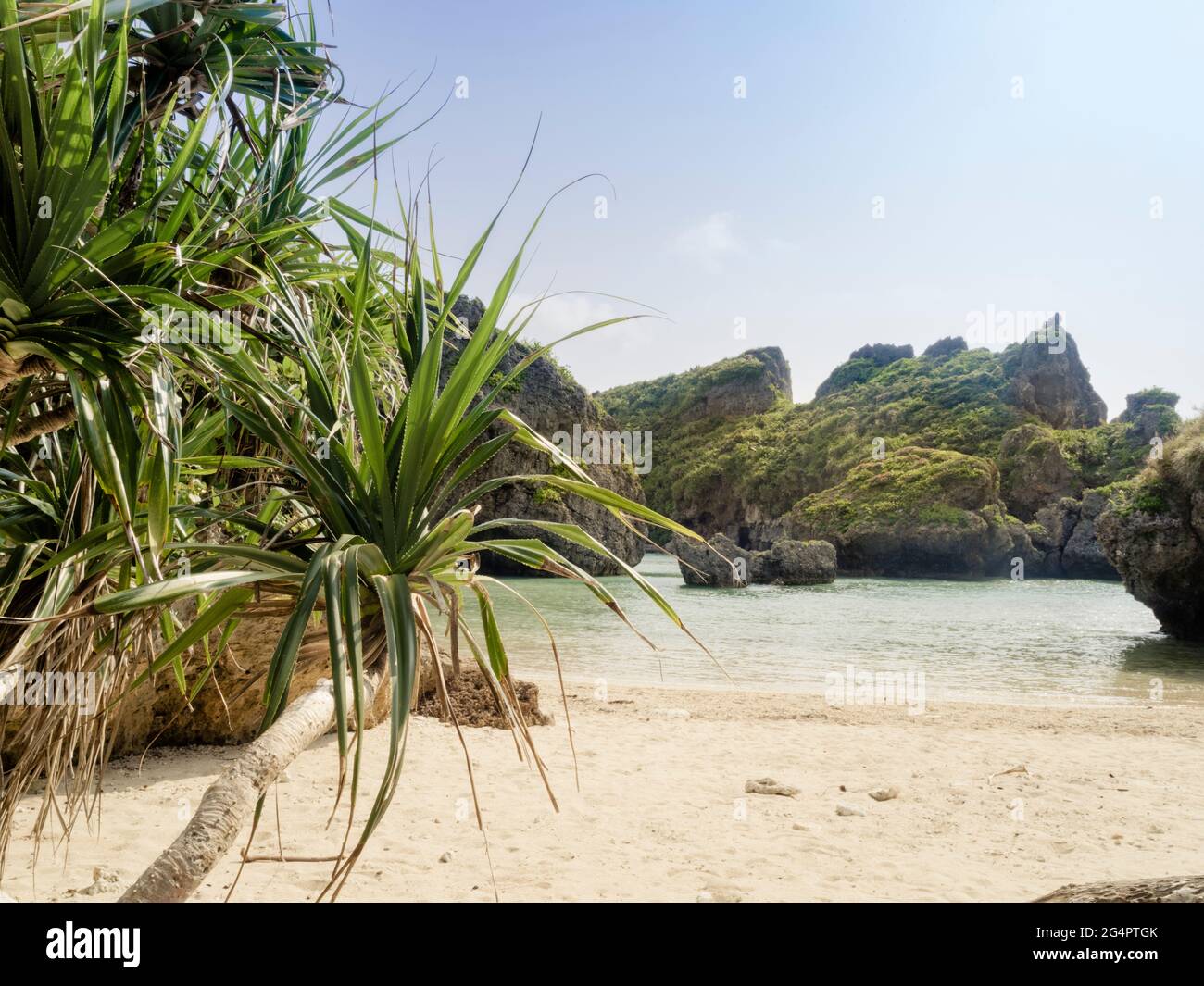 Shirumichu Beach Hamahiga Island Okinawa Japan シルミチューの浜 Stock Photo Alamy