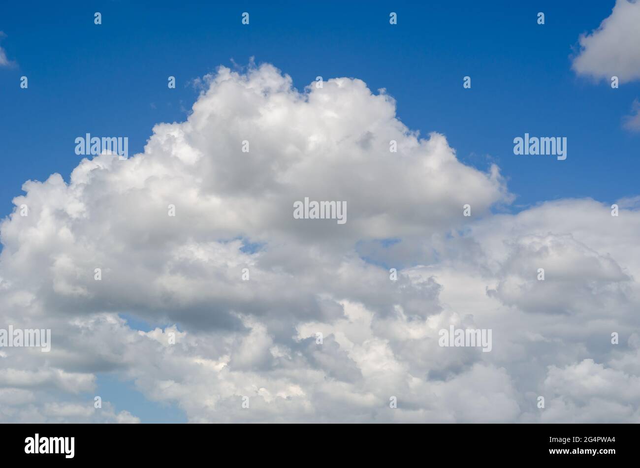 A blue summer sky with white clouds. White-gray clouds turning into a solid cloud. Natural background. Stock Photo