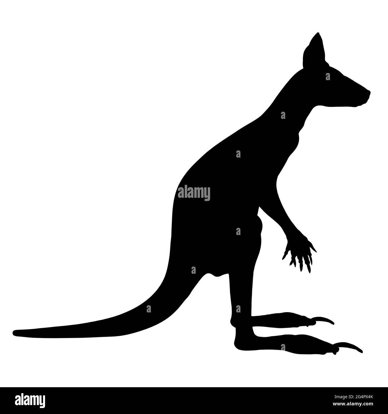 Kangaroo silhouette isolated on white background. Side view. Vector illustration. Stock Vector