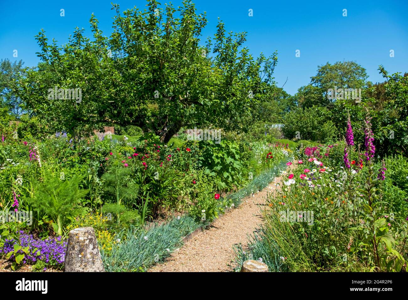 Herbaceous borders, Charleston Farmhouse, East Sussex home of Bloomsbury set artists Vanessa Bell and Duncan Grant, West Firle, South Downs, England Stock Photo