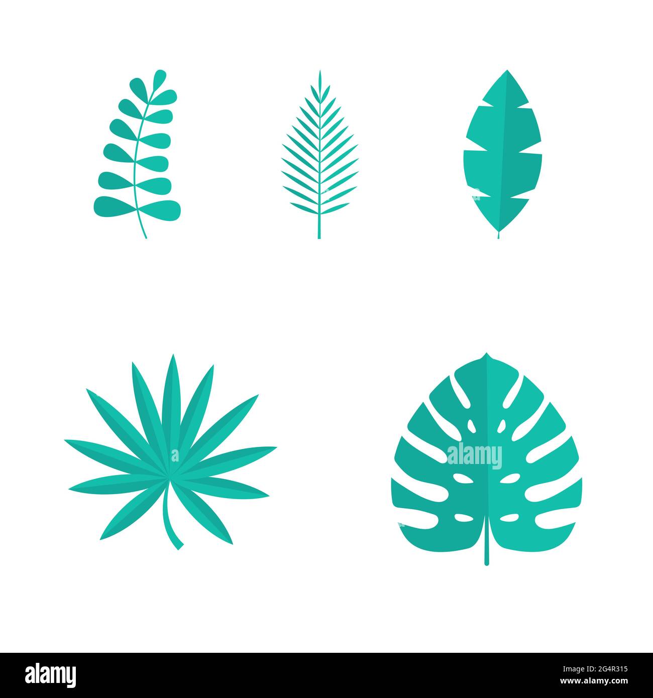 Set of Summer tropical leaves isolated on white background. Vector ...