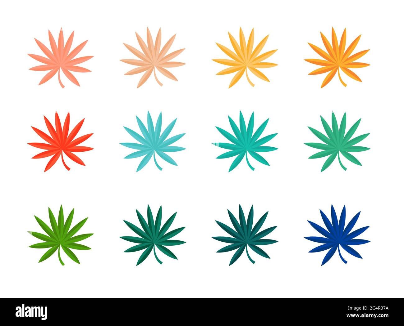 Set of Summer tropical leaves isolated on white background. Vector ...