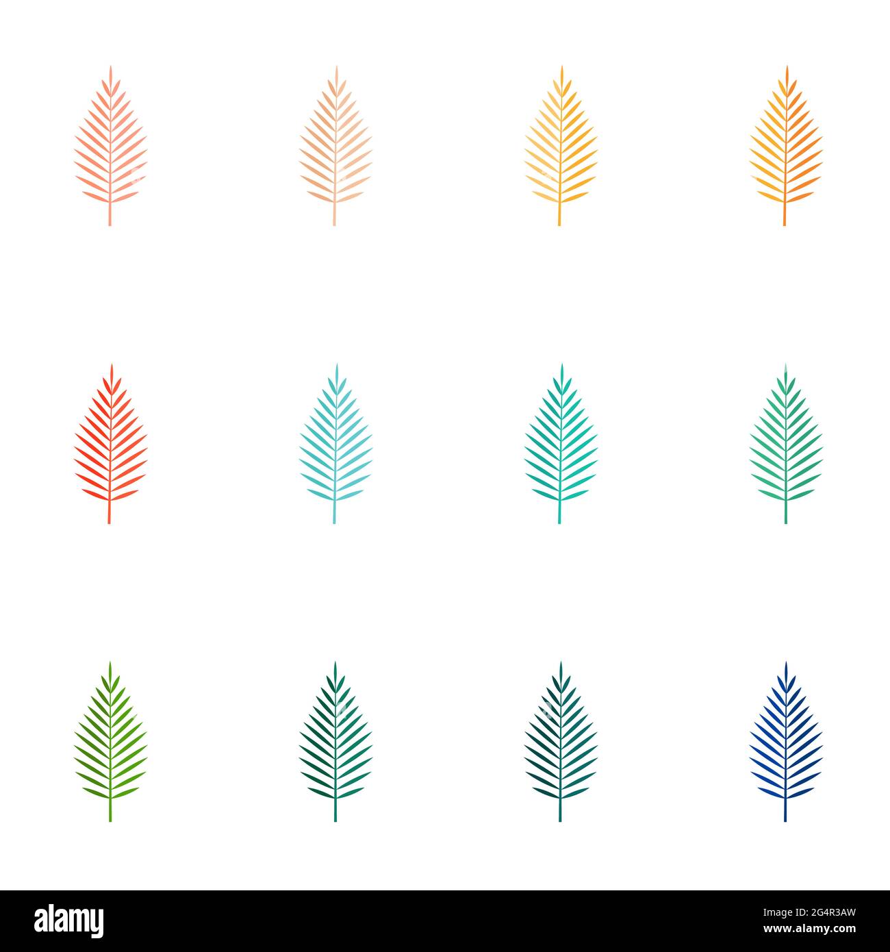 Set of Summer tropical leaves isolated on white background. Vector ...