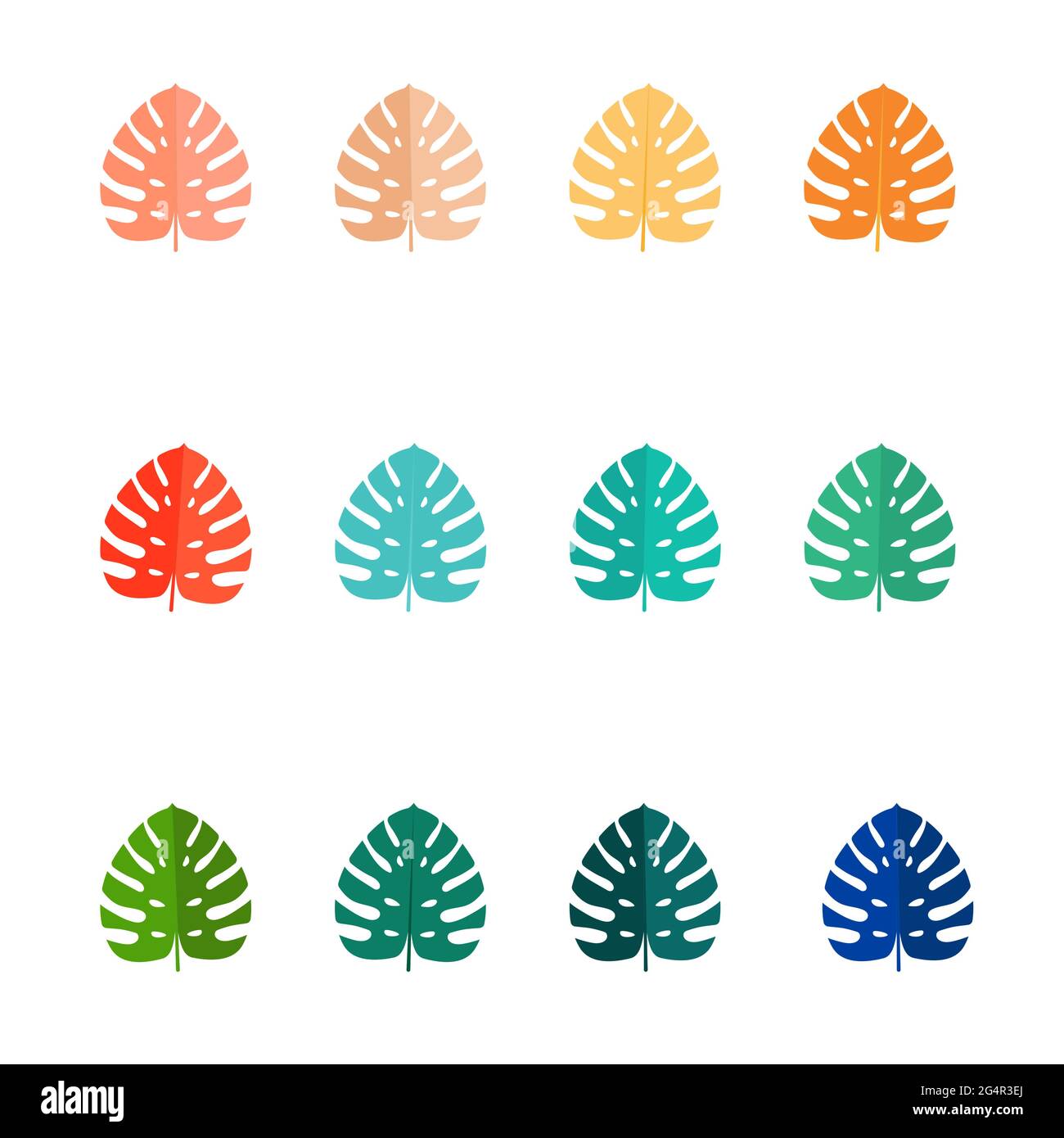 Set of Summer tropical leaves isolated on white background. Vector ...