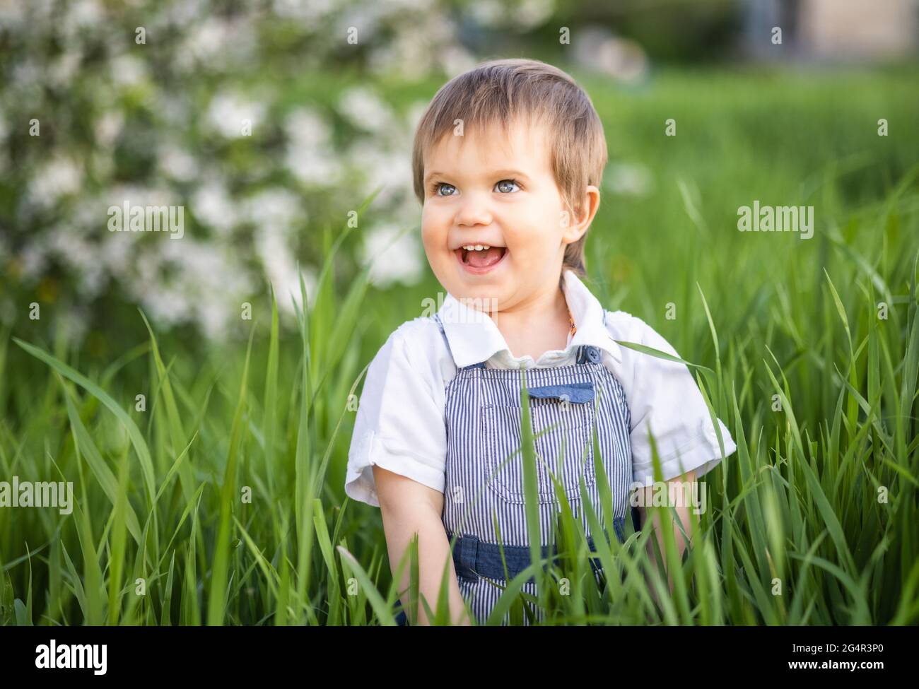 A little boy in denim overalls with expressive blue eyes. Jumping and