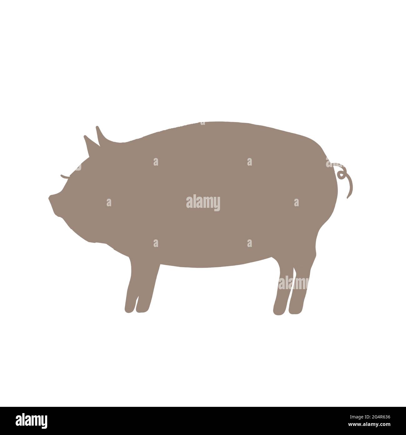 Pig silhouette. On a white background. Stock Photo