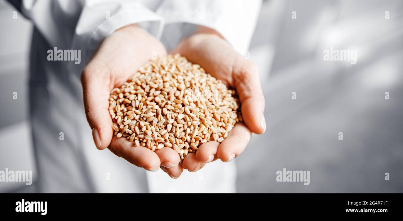 Flour mill worker hires stock photography and images Alamy