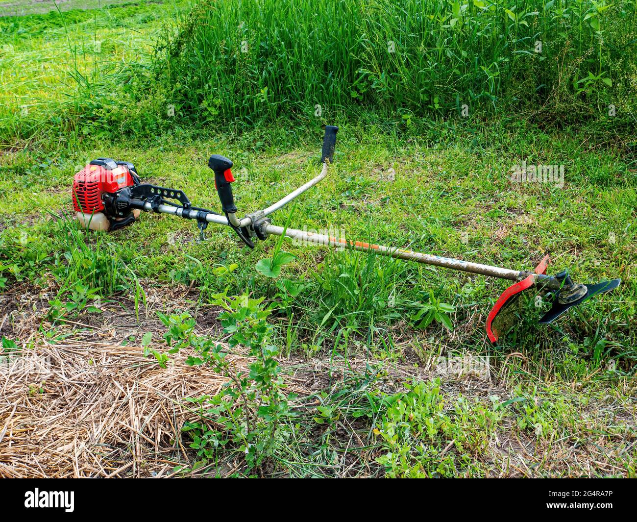 Use of grass cutter hot sale