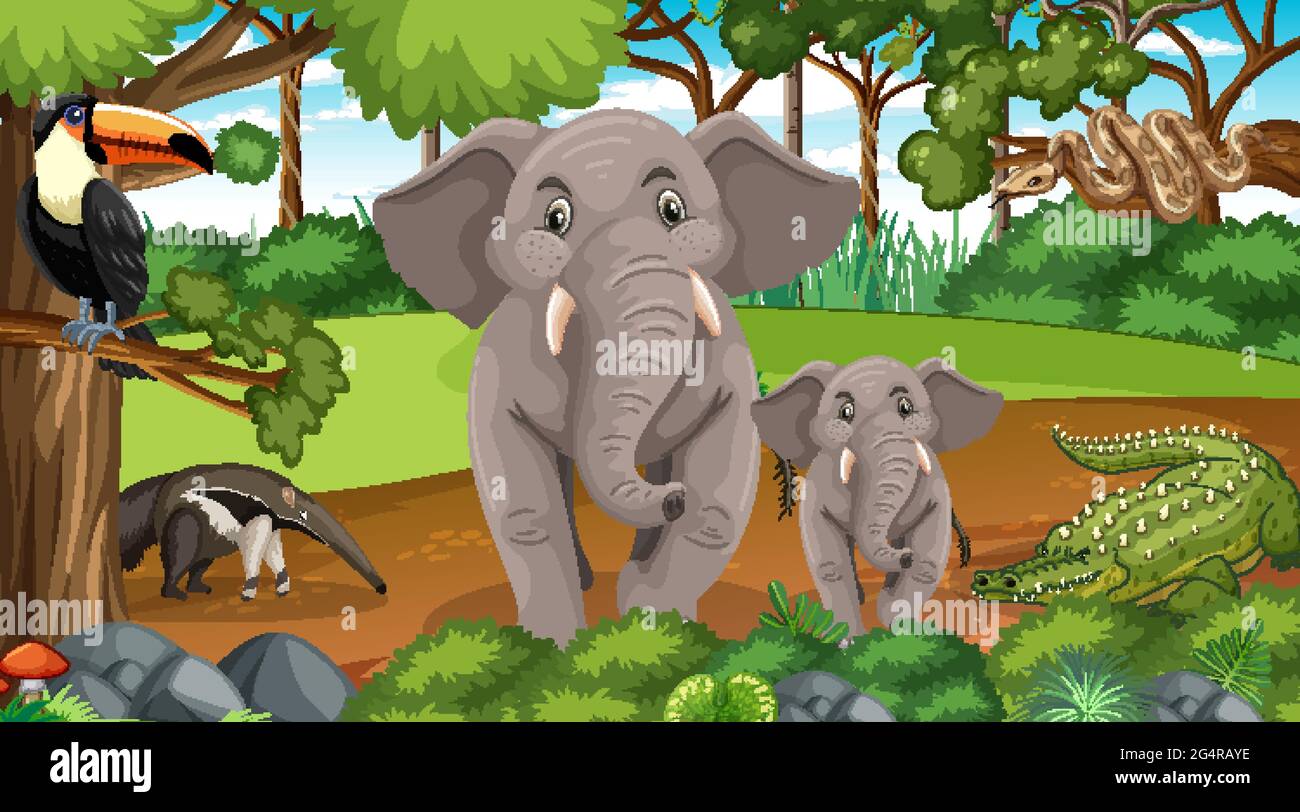 Elephant family with other wild animals in forest scene illustration Stock  Vector Image & Art - Alamy