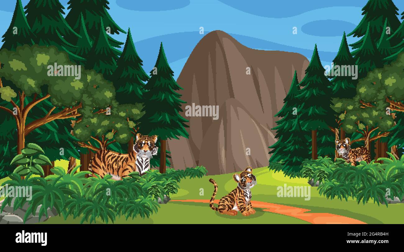 Tiger family in forest or rainforest scene with many trees illustration Stock Vector