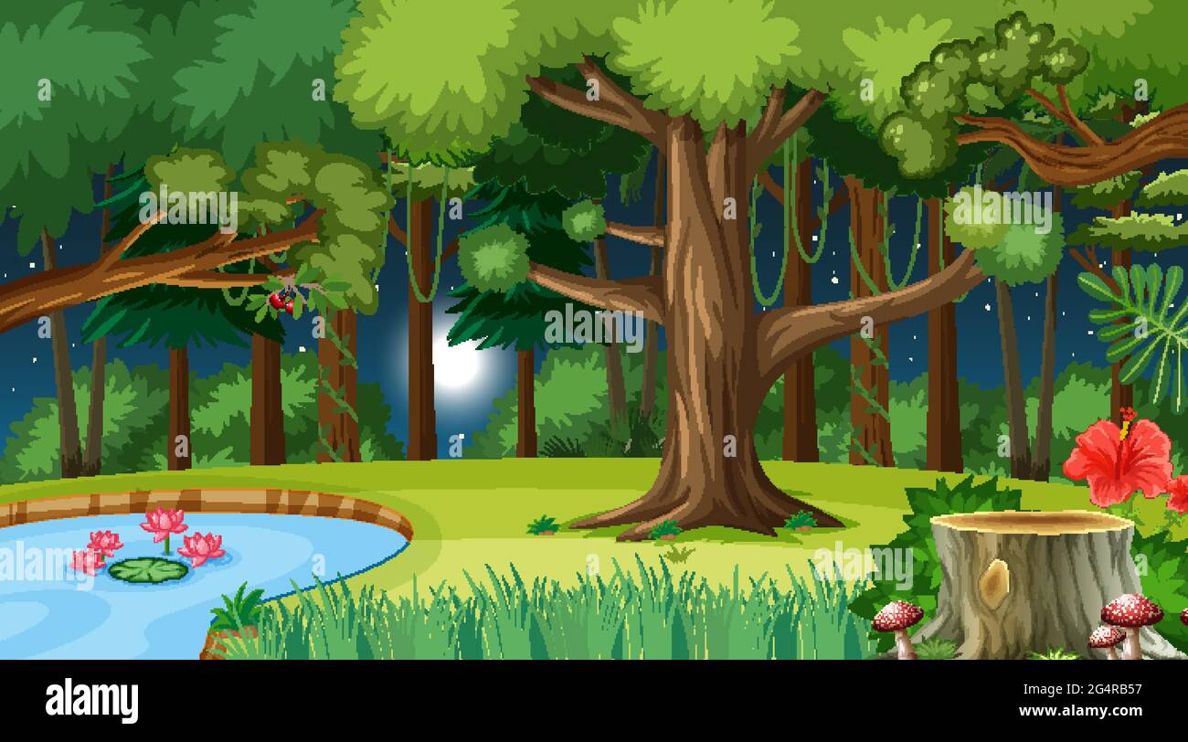 Nature forest at night scene with many trees illustration Stock Vector ...
