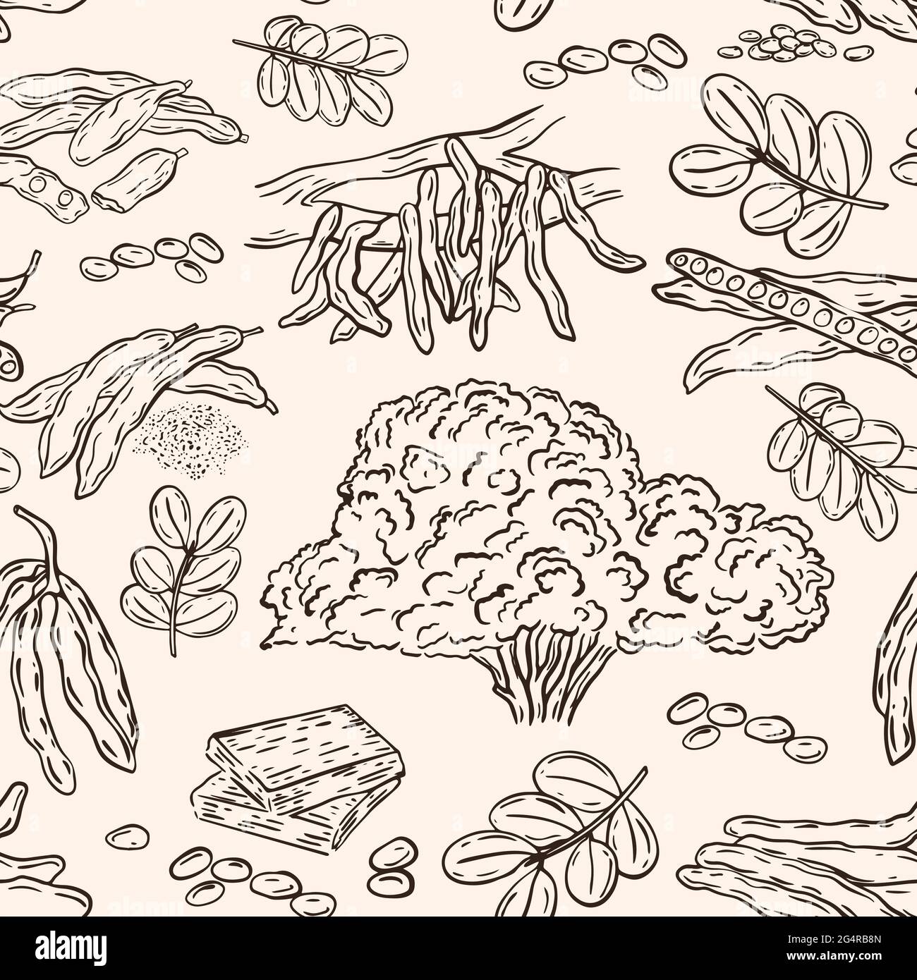 Carob seamless pattern, vector. Fruit sketch of the super product carob, wallpaper. Background with hand drawing pods, seeds and trees. Food template. Stock Vector