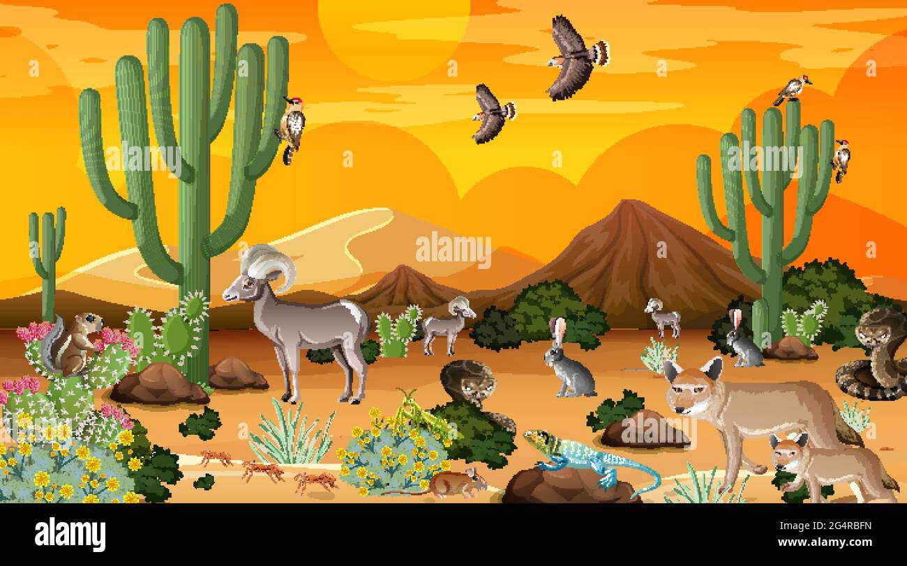 Desert forest landscape at sunset time scene with wild animals ...