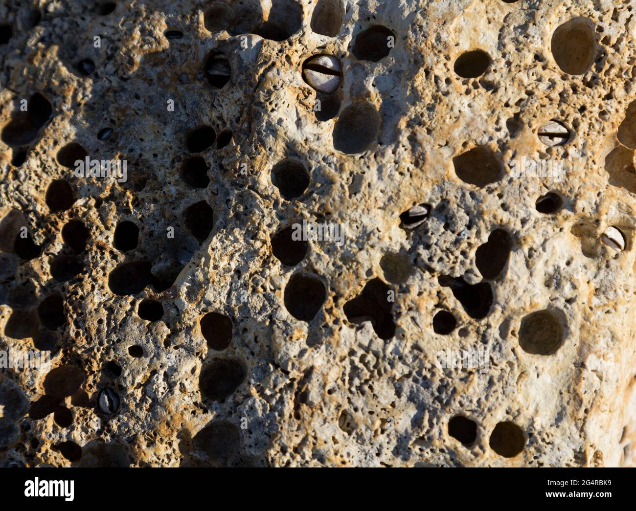 Stones by the sea, texture. The sea stones are large Stock Photo - Alamy
