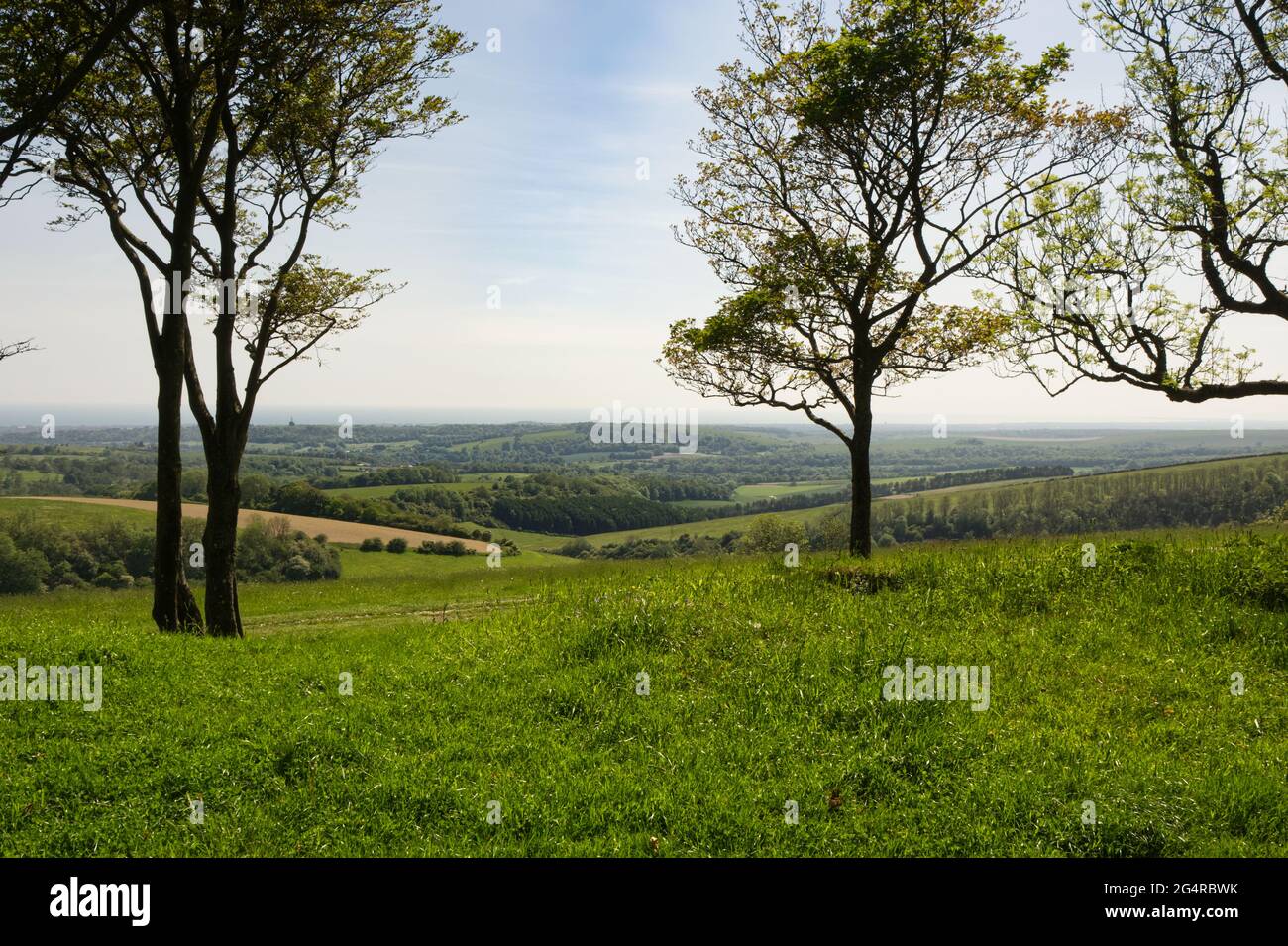 View South from Chanctonbury Hill on the South Downs near Worthing, West Sussex, England Stock Photo