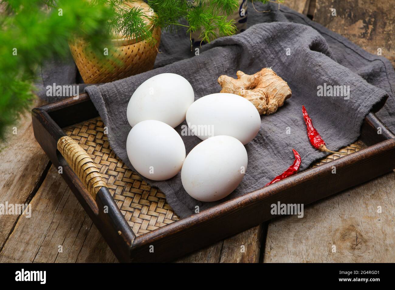 Goose egg Stock Photo