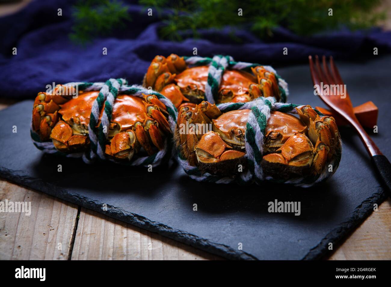 A crab Stock Photo