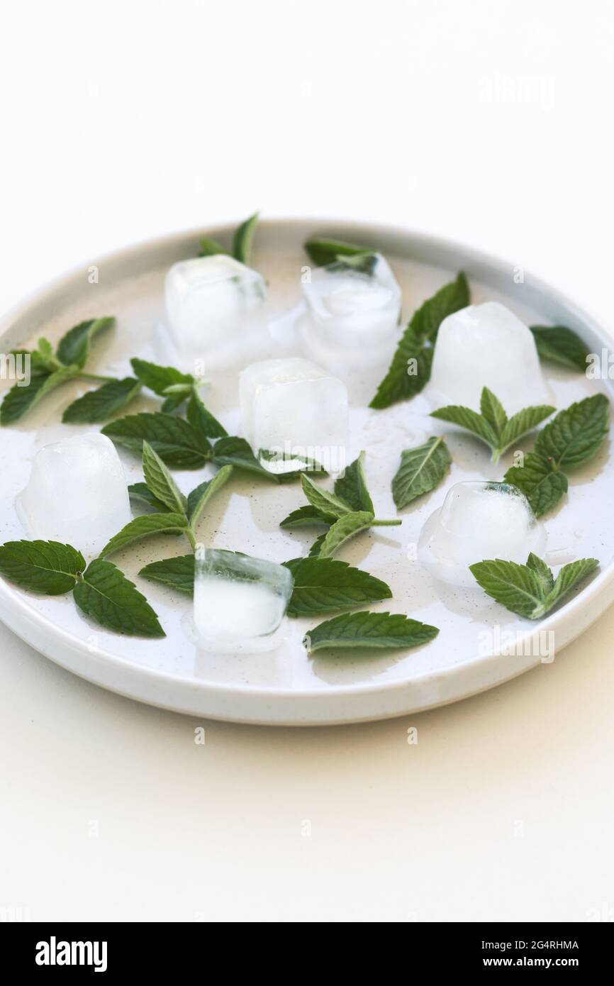 Fresh mint leaves and ice cubes on plate isolated on white background ...