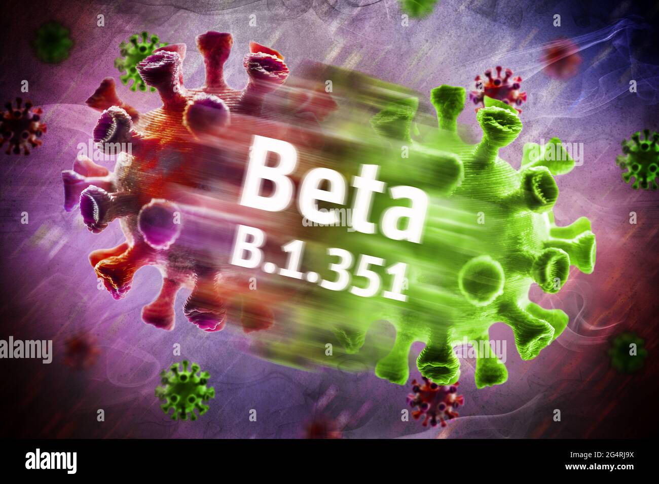 Corona viruses, beta variant B.1.351 Stock Photo