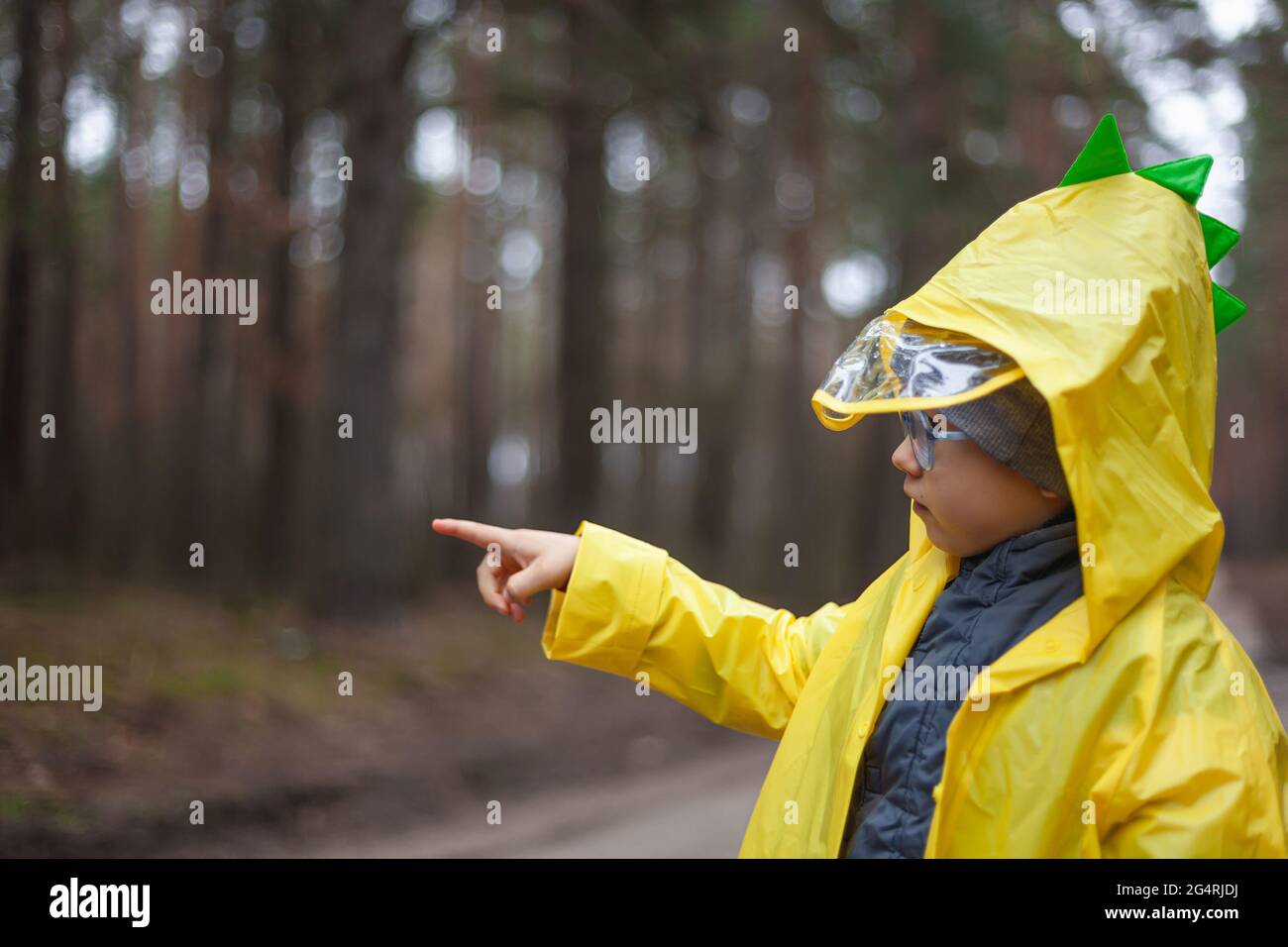Child in a yellow raincoat walking in the forest after rain, showing ...
