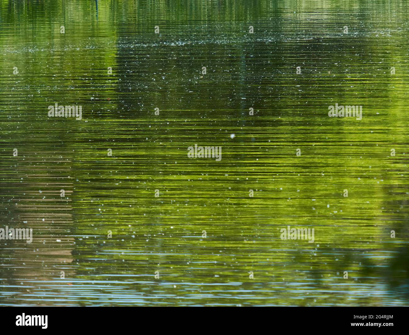 Abstract background made up of the reflection of trees, buildings and sky in Hampstead Ponds, broken up and fractured into striations by ripples. Stock Photo