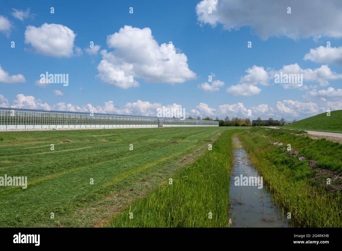 Agriculture in Netherlands, big glass greenhouses used for growing