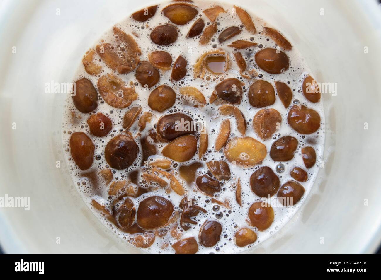 Plums, yeast and sugar left in a bucket to ferment into wine : home made wine making or vinting, just stirred Stock Photo