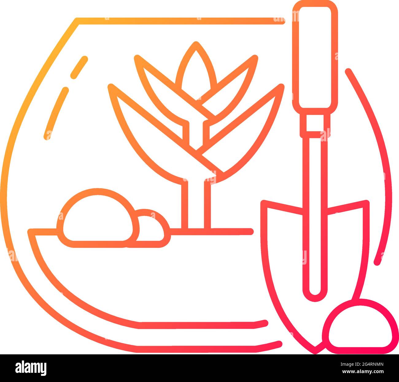 DIY tropical terrarium gradient linear vector icon. Growing plants ...