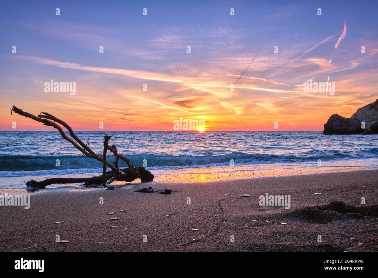 ld wood trunk snag in water at beach on beautiful sunset Stock Photo