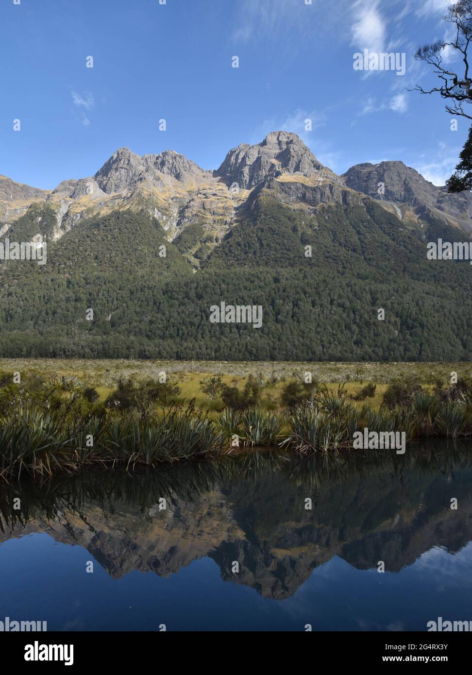 mirror lake near queenstown NZ Stock Photo