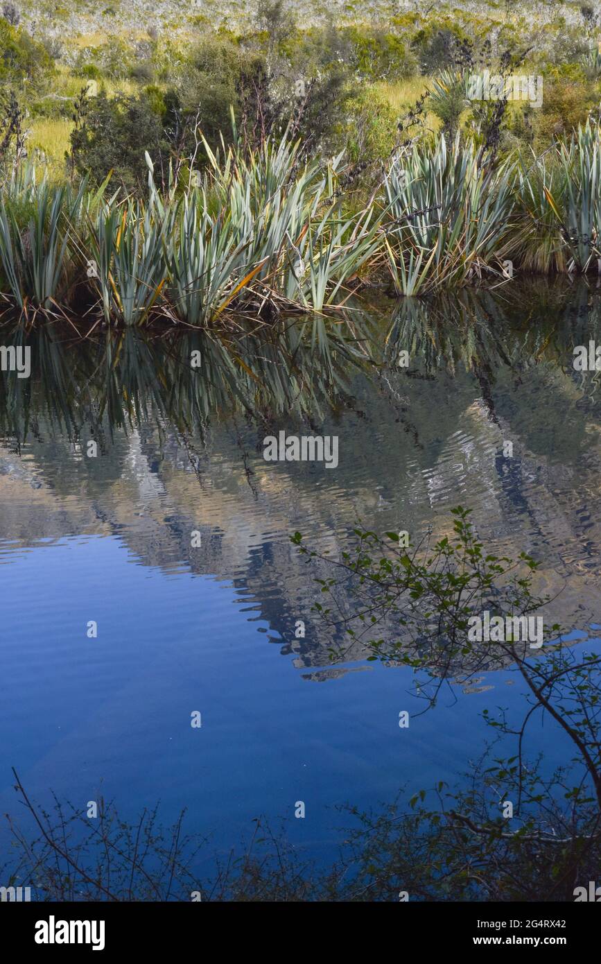 mirror lake near queenstown NZ Stock Photo