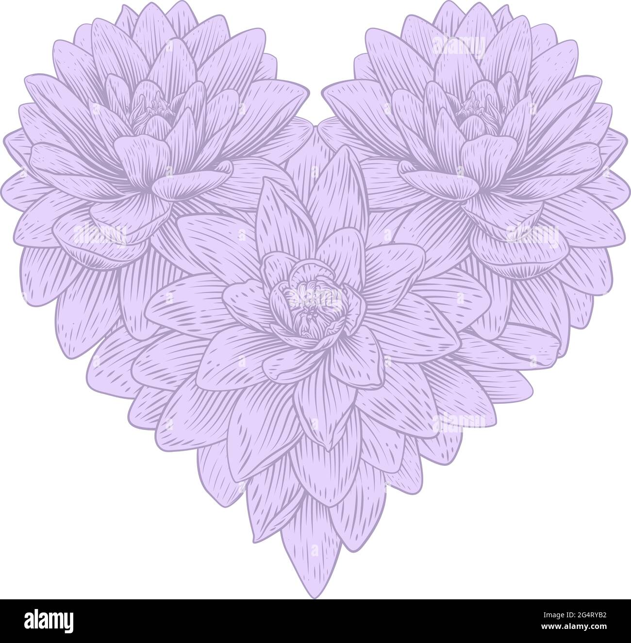 Heart Lotus Flower Love Floral Lilly Etching Stock Vector