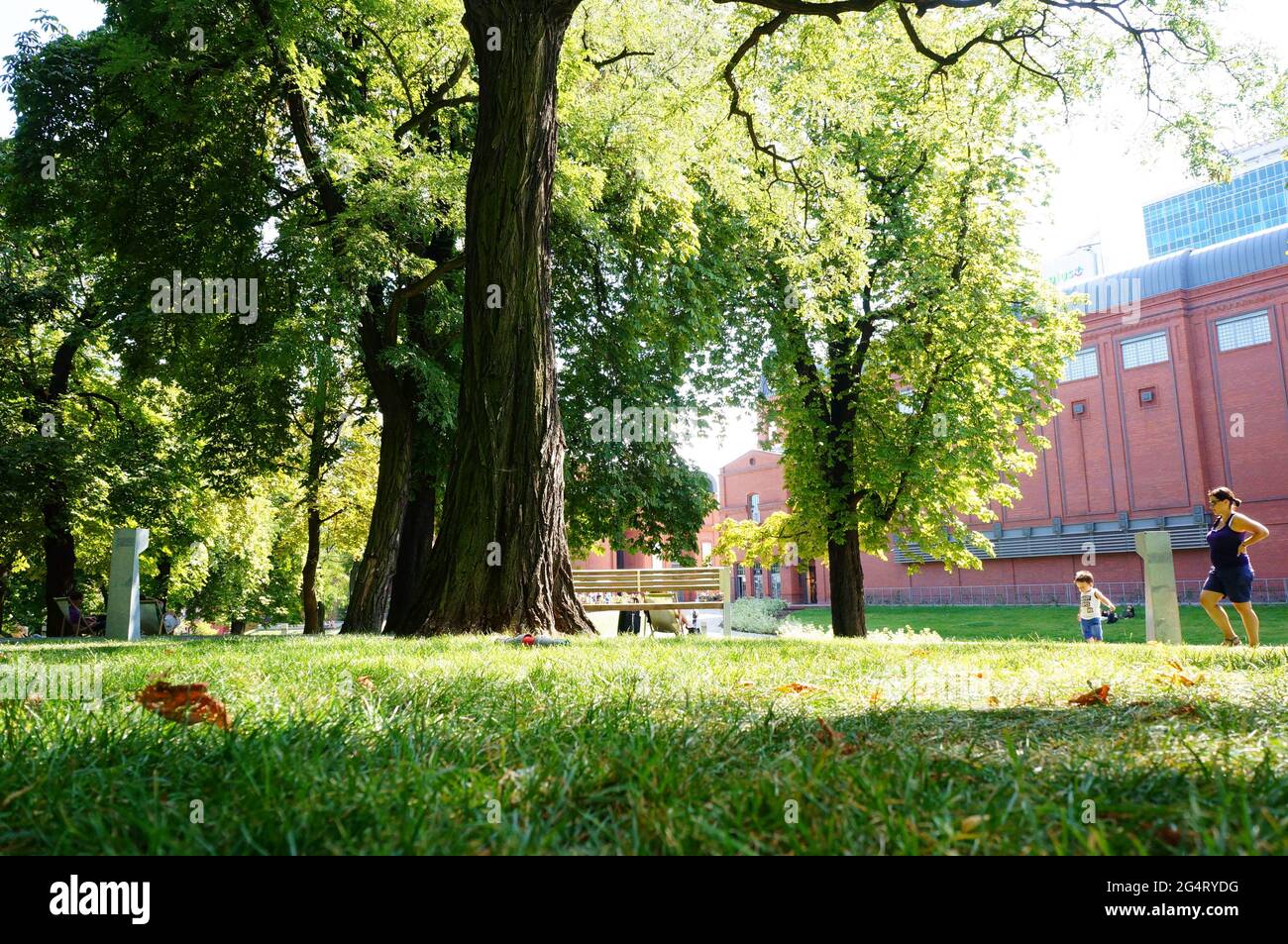 POZNAN, POLAND - Oct 30, 2015: Green grass at a park on a sunny day Stock Photo