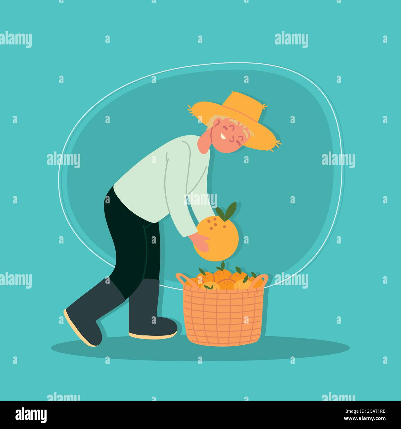 farmer man picking oranges Stock Vector Image & Art - Alamy