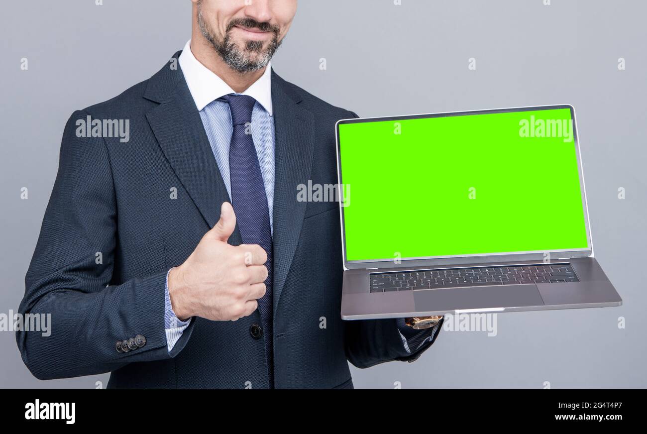 cropped man showing green screen. modern wireless laptop. thumb up. webinar pc advertisement. Stock Photo