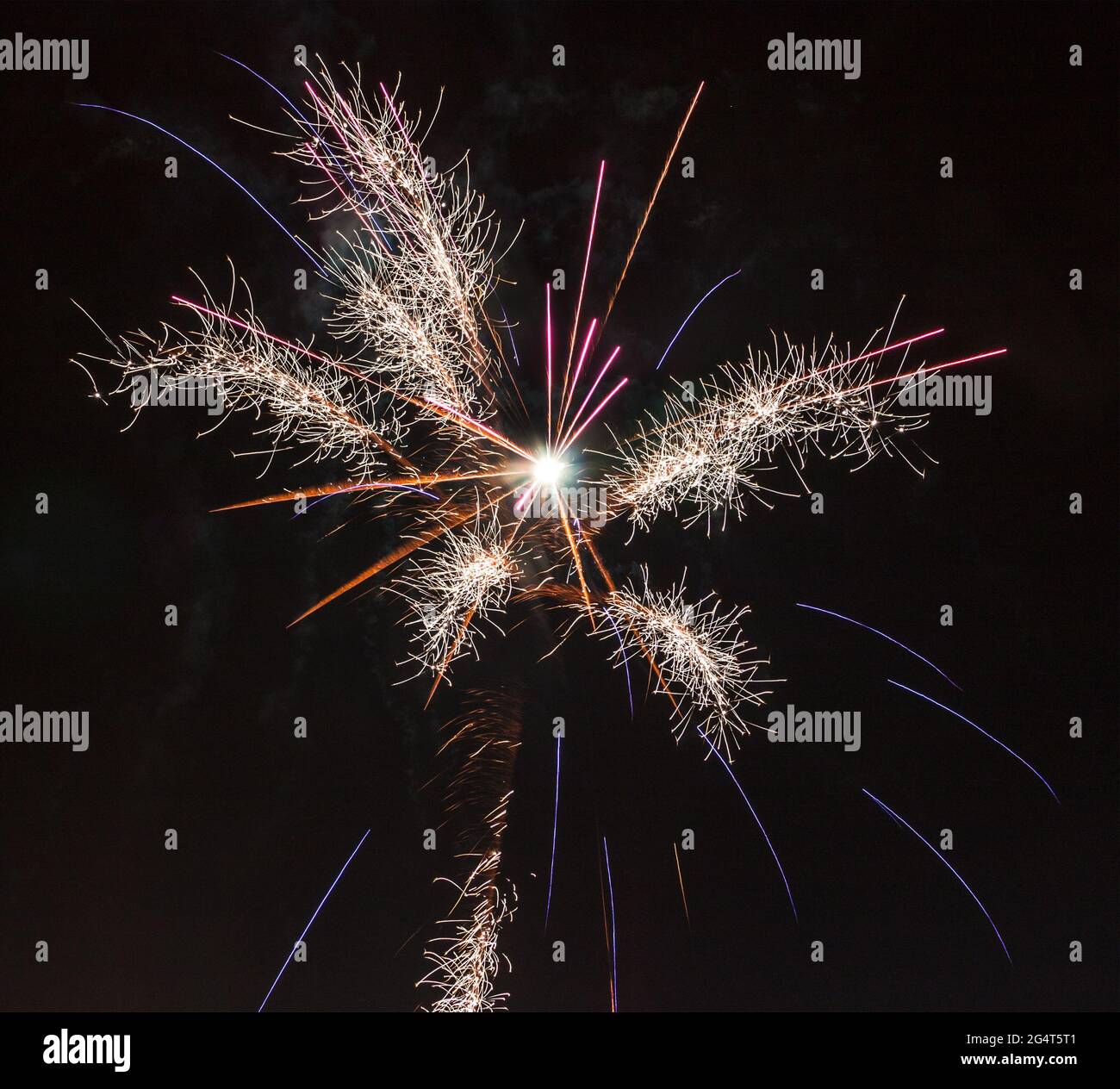 Fireworks on black night sky. Stock Photo