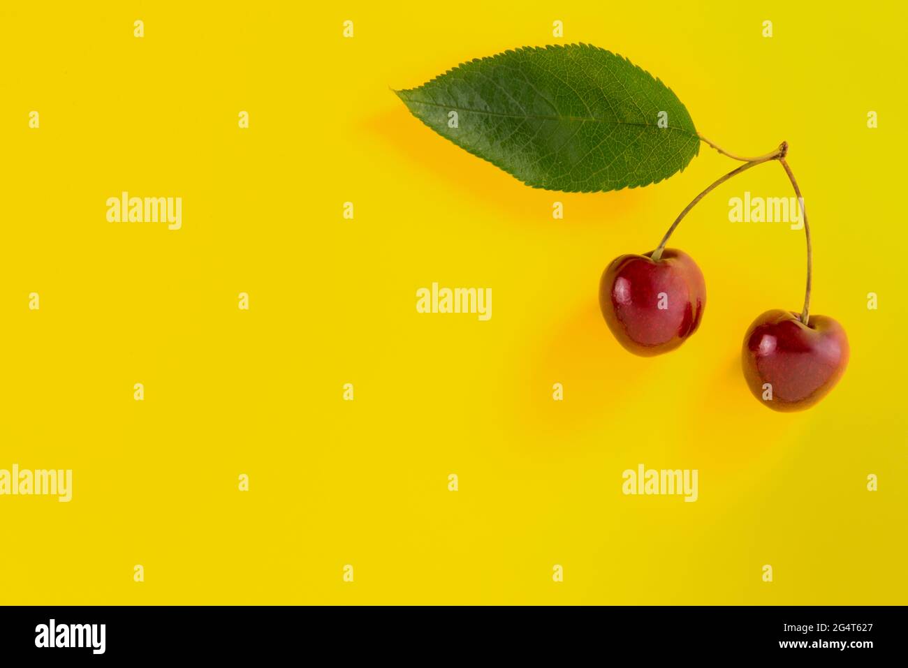 Two red cherries whit leaf on yellow background with copy space. Design for label, greeting card, poster. Stock Photo