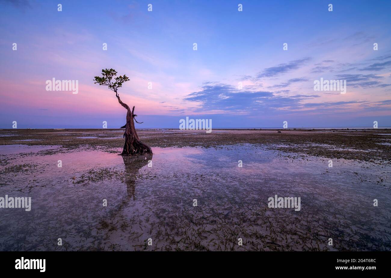 Sunset scenery at Walakiri Beach, Sumba Island, Nusa Tenggara Timur, Indonesia Stock Photo