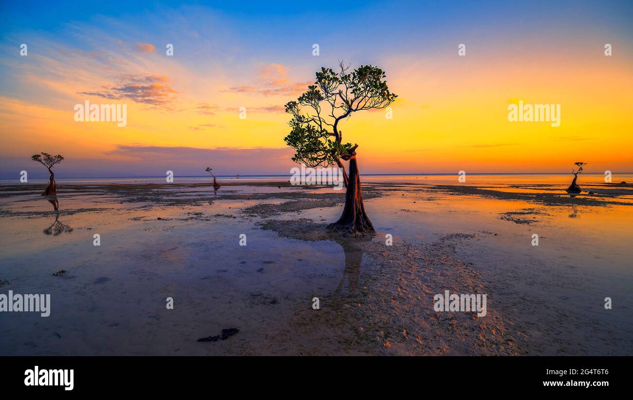 Sunset scenery at Walakiri Beach, Sumba Island, Nusa Tenggara Timur, Indonesia Stock Photo