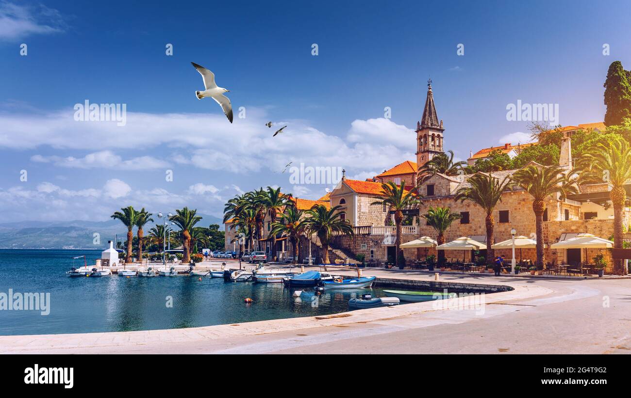 Splitska village with beautiful port and seagull's flying over the ...
