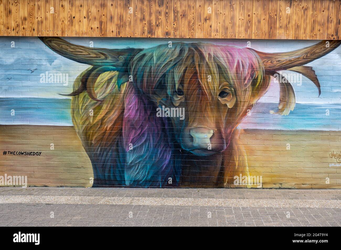 Painted cow mural on the side of a restaurant wall at Great Yarmouth seafront promenade Stock Photo