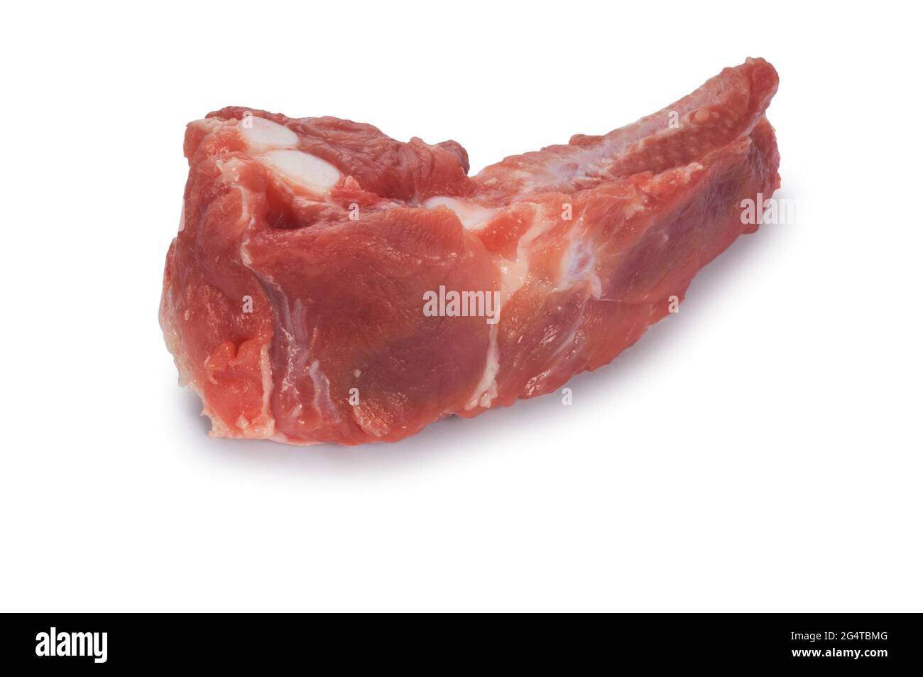 Studio shot of raw pork rib cut out against a white background - John Gollop Stock Photo