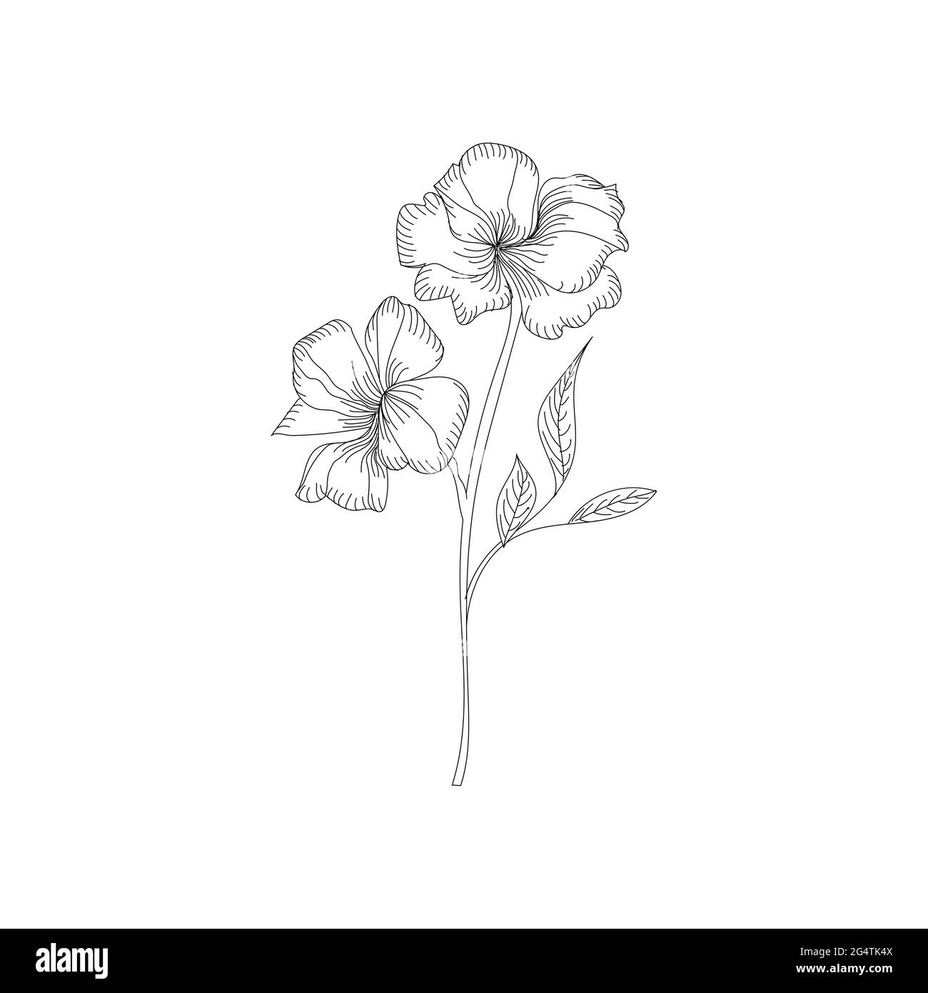Collection of hand drawn tropical flowers Vector Image  Flower line  drawings How to draw hands Flower drawing