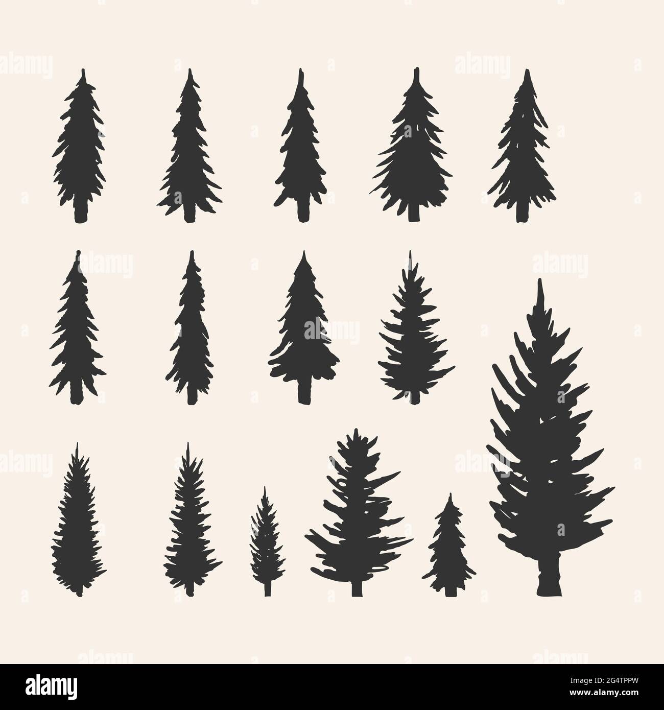 Vector silhouette of different pine trees. Can be used as poster, badge ...