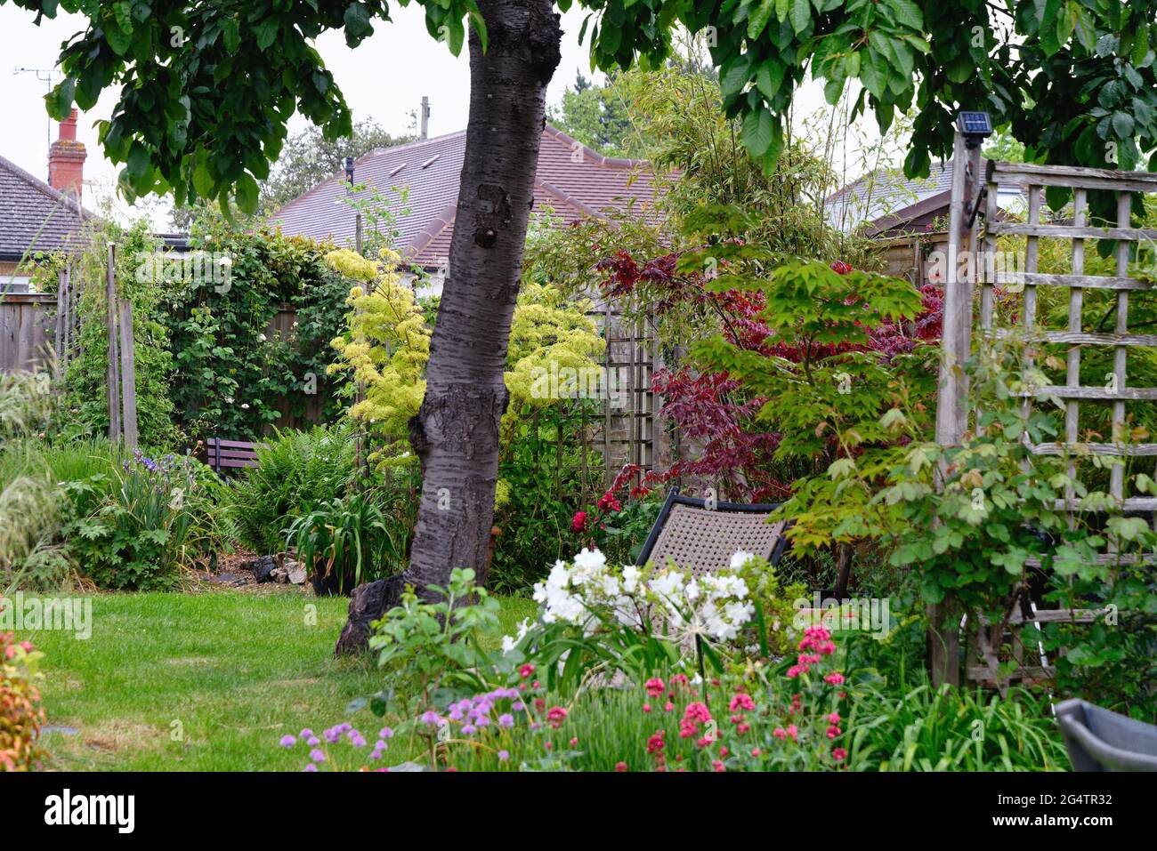 Rear garden in a private house in full summer colours, Shepperton Surrey England UK Stock Photo