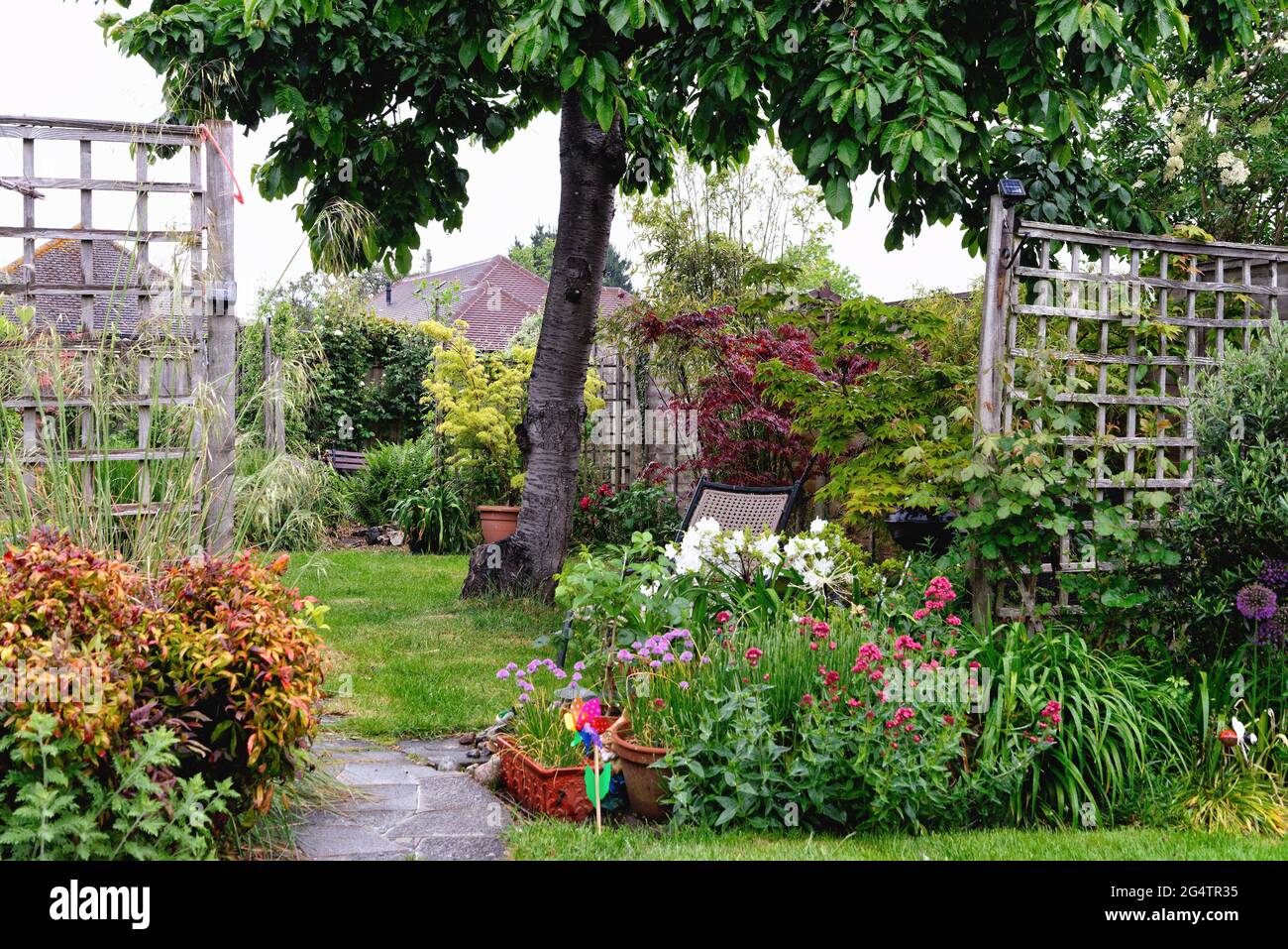 Rear garden in a private house in full summer colours, Shepperton Surrey England UK Stock Photo Rear garden in a private house in full summer colours, Shepperton Surrey England UK Stock Photo