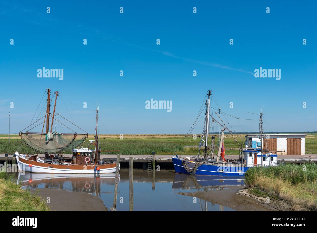 Shrimp cutter in the natural harbour, Spieka, Lower Saxony, Germany, Europe Stock Photo