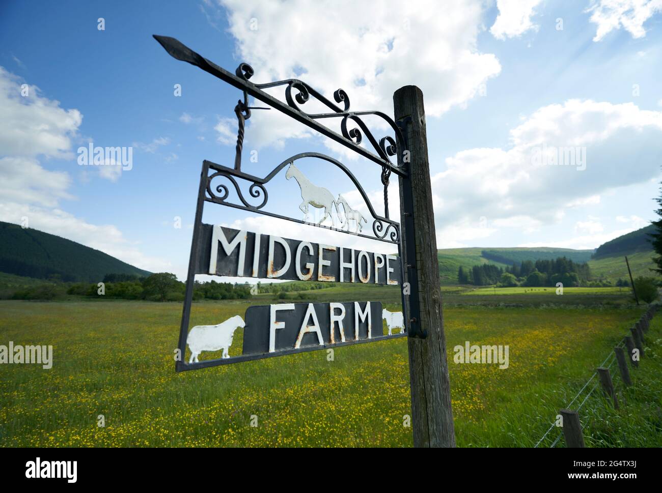 Sign for Midgehope Farm in the Scottish Borders. On the B 709. Stock Photo